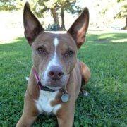 photo of Catherine D.