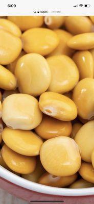 Photo of Lupini P.