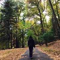 Photo of Missing Z.