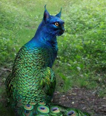 photo of Kristine D.