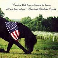 Photo of Jeanine G.