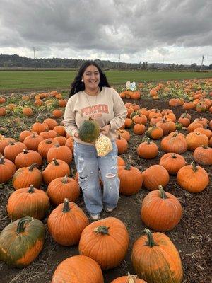 photo of Customs With Y.