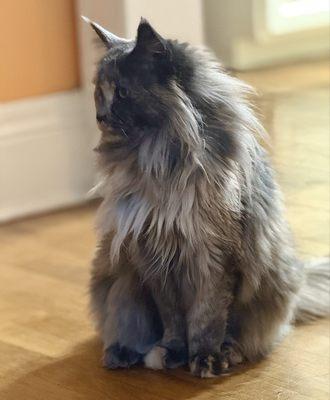 photo of Brittany S.