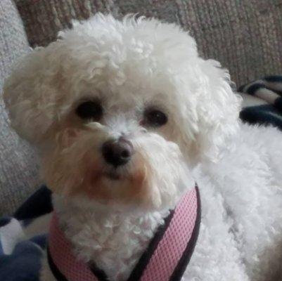 photo of Brigitte M.