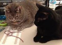 photo of Christina F.