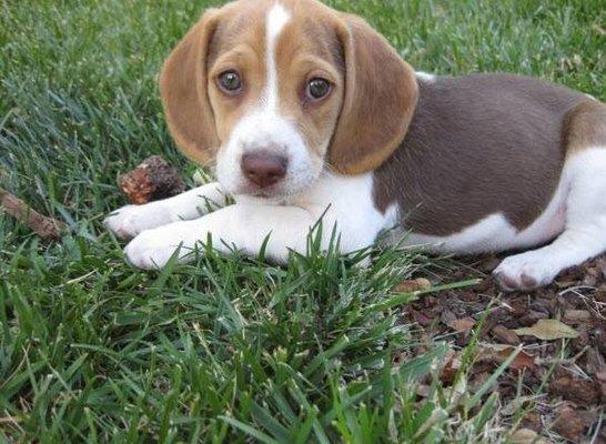 photo of Meredith C.