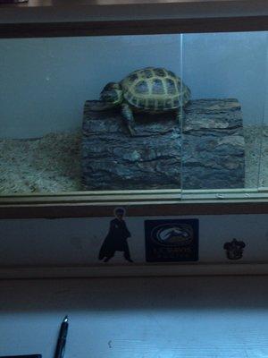 photo of Jonathan R.