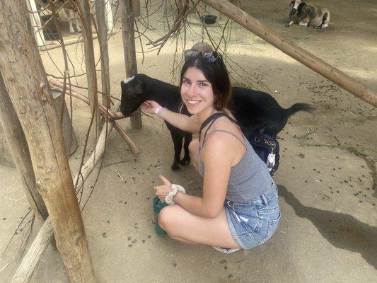 photo of Jaqueline F.