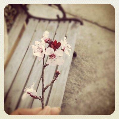 photo of Josephine H.