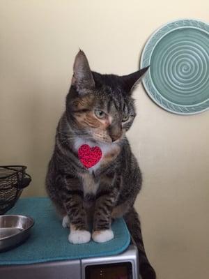 photo of Tomansina L.