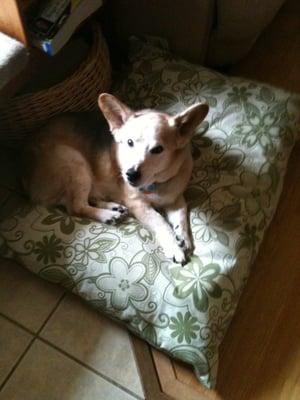 photo of Lorraine W.