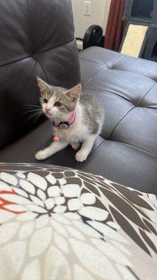 photo of Alexandra P.