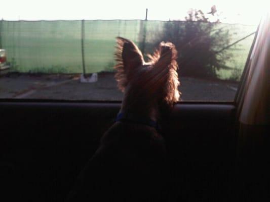 photo of Lynnlynn Z.