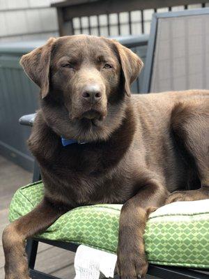 photo of Alexandria B.