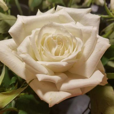 Photo of Zhannetta C.