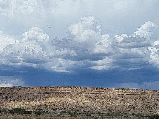 photo of Stephanie B.