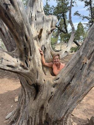 Photo of Tracey H.