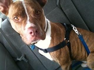 photo of Sebastian J.