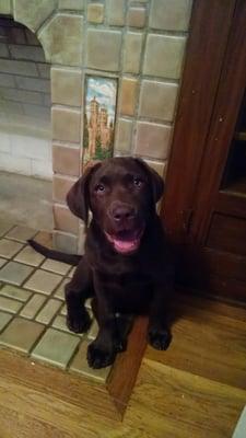 photo of Courtney B.