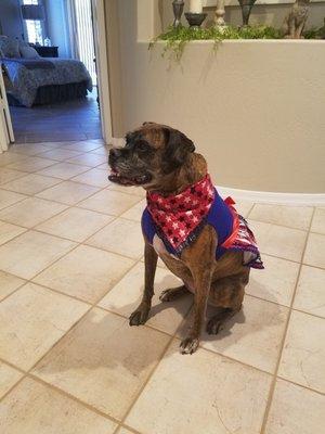 photo of Samantha P.