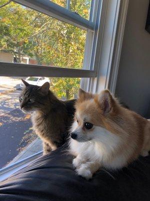 Photo of Jennifer S.