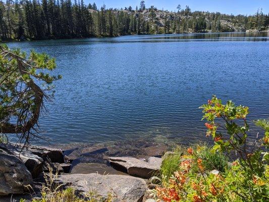 photo of Jennifer H.