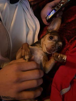 photo of Mackenzie O.