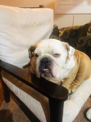 Photo of Lola ..