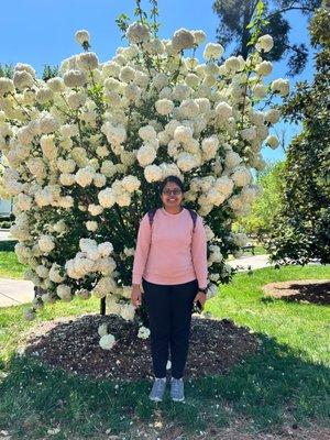 Photo of Sowmya V.