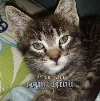 photo of Christine P.