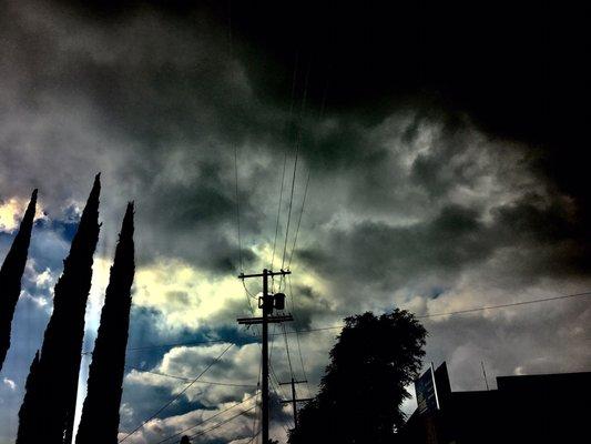 photo of Alexander M.