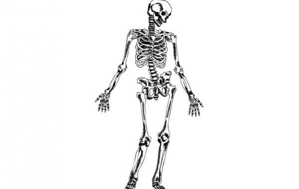 Photo of Bridget B.