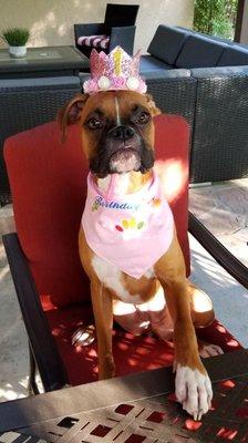 photo of Nathalie Q.