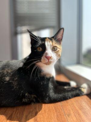 Photo of Kaylee O.