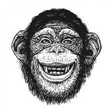 Photo of C T.