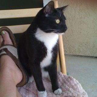 photo of Dr. Suzanne F.