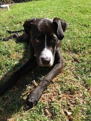 photo of Elizabeth L.