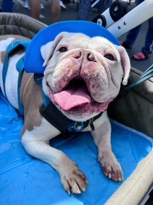 photo of Stephanie C.