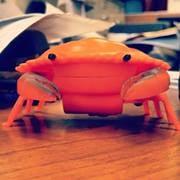 photo of Michelle B.