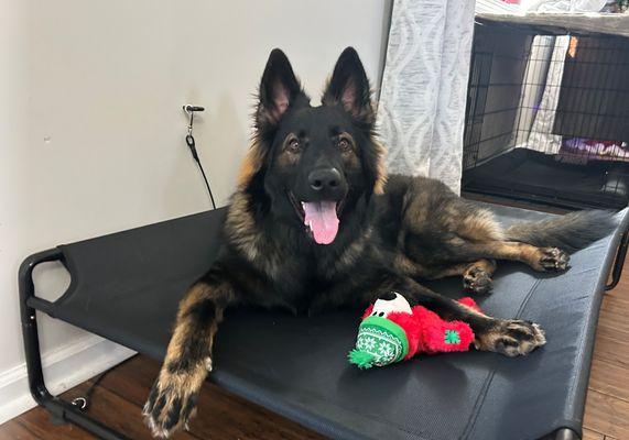 photo of Jennifer C.