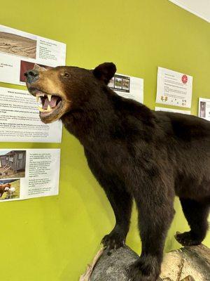 Photo of Beatrice C.