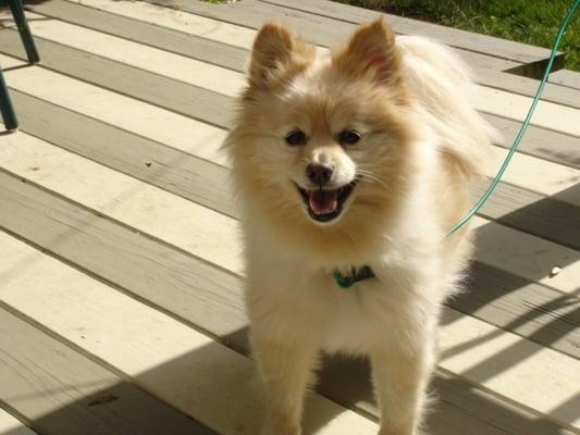 photo of Patricia W.