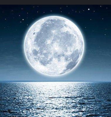 photo of Lover Of Food R.