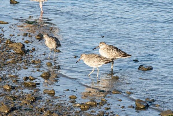 photo of Veronica S.