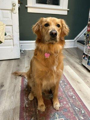 Photo of Miss B.