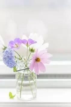 Photo of Cindy Y.