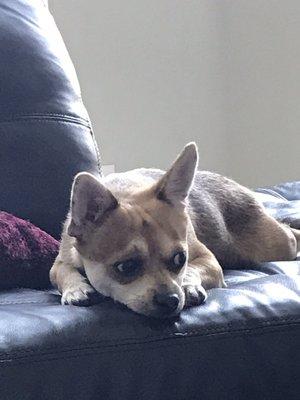 photo of Jennifer T.