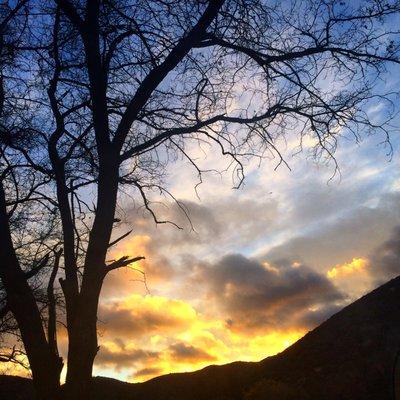 photo of Cathleen C.