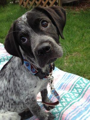 photo of Adrianne B.