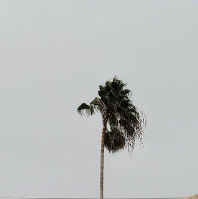 Photo of Taiyaba Q.